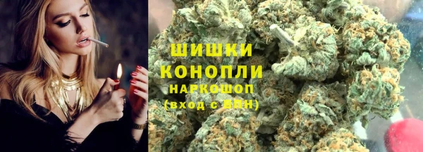 PSILOCYBIN Аркадак