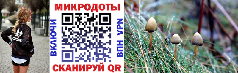 Галлюциногенные грибы Magic Shrooms  даркнет сайт  Спас-Деменск 
